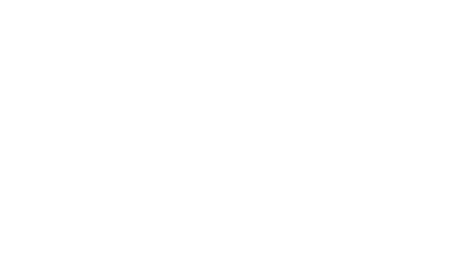 Mental Longevity Solution